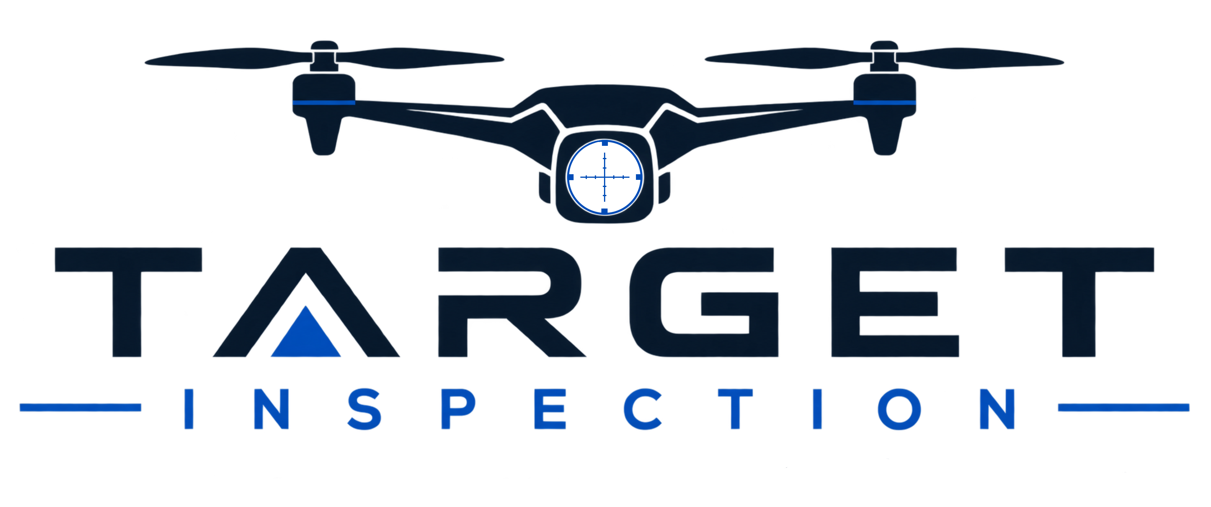 Target Inspection